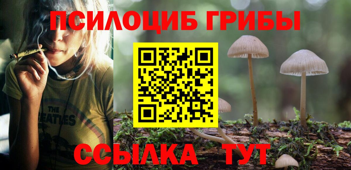 Псилоцибиновые грибы MAGIC MUSHROOMS Мичуринск