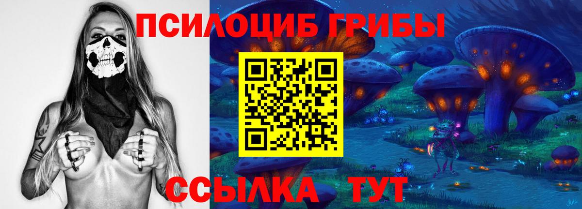 Мичуринск  Псилоцибиновые грибы Psilocybe  Вход с VPN 